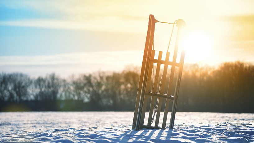 Sled by Bo Valentino