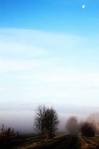 de maan is nog wakker