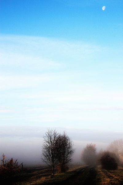 de maan is nog wakker par Marianne Bras