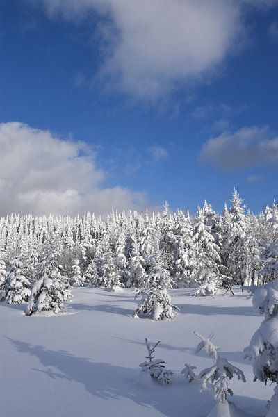 The top of the snow-capped mountain by Claude Laprise