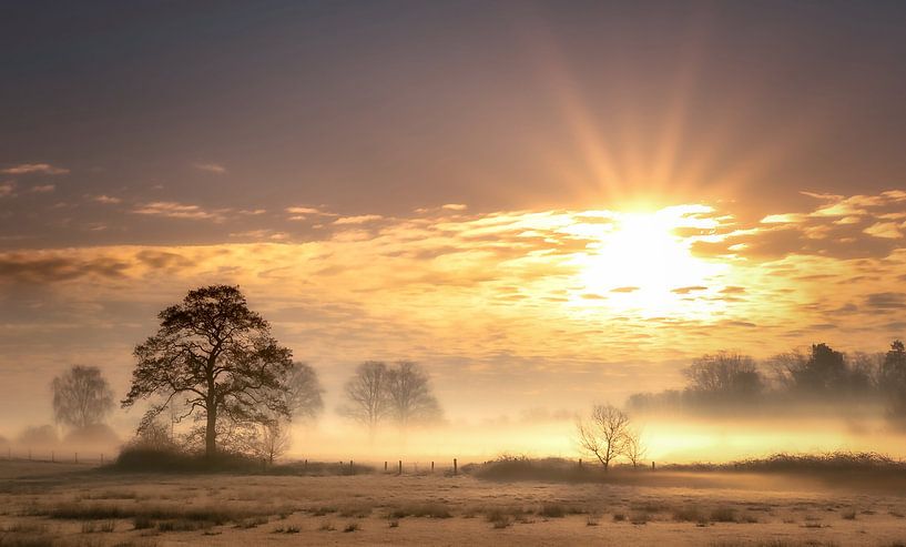 Zonsopkomst op de Empese &amp; Tondense Heide van Rob Sprenger
