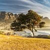 Coucher de soleil à Camps Bay, Afrique du Sud sur Achim Thomae Photography