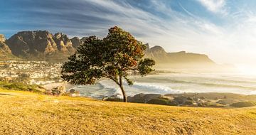 Zonsondergang Camps Bay Zuid-Afrika van Achim Thomae Photography