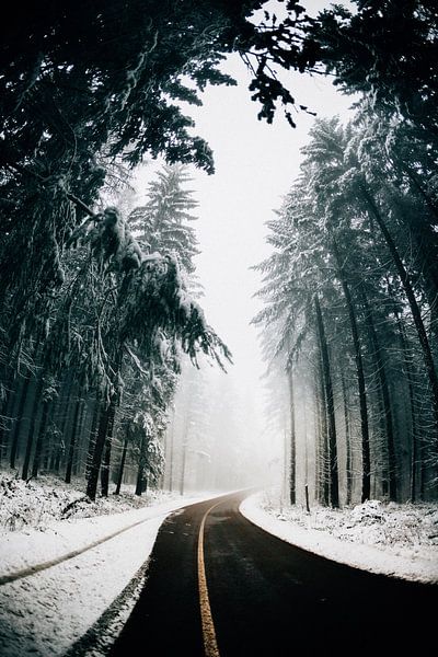 Winter Vibes by Hello Pompoyo