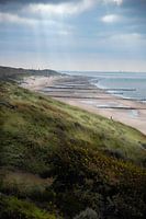 Coastline
