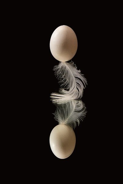 egg on feather by Gert-Jan van Wezel