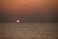 setting sun