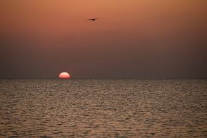 soleil couchant