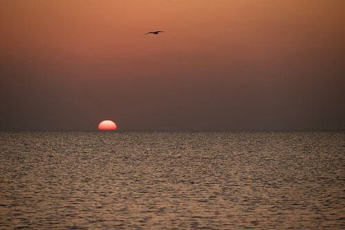 soleil couchant sur Annelies Cranendonk