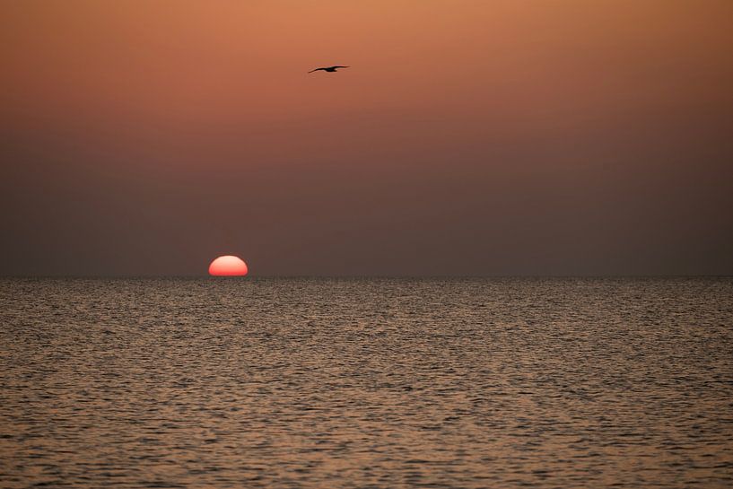 setting sun by Annelies Cranendonk