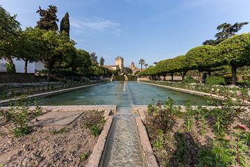 Vijver bij het Alcazar in Cordoba, Spanje van Maarten Hoek