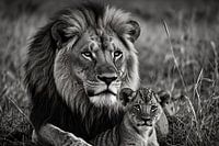 Majestueuse lionne et son petit en noir et blanc