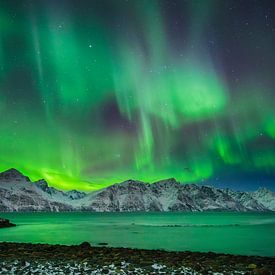 Noorderlicht boven fjord in noord Noorwegen van Chris Stenger