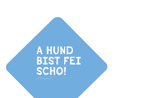 Beiers herkenningsformaat 2