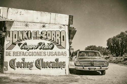 Yonki El Zorro Route 95 Mexico