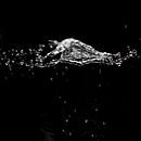 Wasser fliegt durch die Luft von Andreas Hackl Miniaturansicht