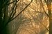 Burchtlaan Nienoord Leek met zonneharpen - portretstand van R Smallenbroek