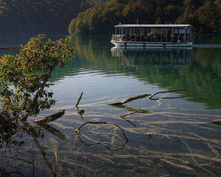 De belles racines dans l'eau du parc national des lacs de Plitvice par Anges van der Logt
