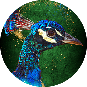 Pauwenkop met goudglitters