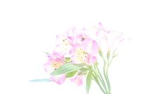 Romantic flowers