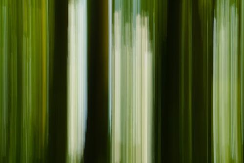 résumé II sur Dirk Maes