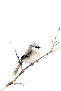 Aquarell Langschwanzmeise