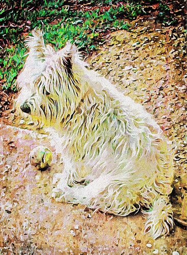 Iemand om de bal te gooien