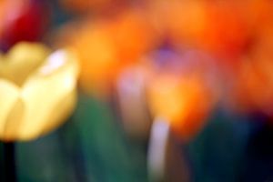 frühling
