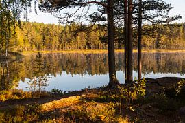 Schwedischer See von Geertjan Plooijer