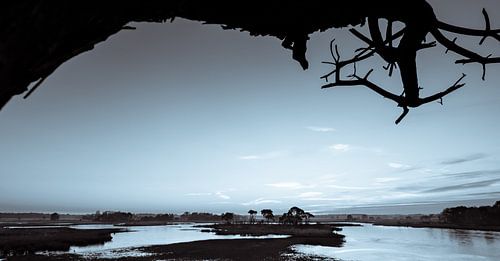 Strabrechtse Heide 160