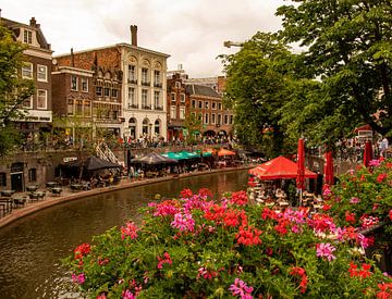 Utrecht Oudegracht par une belle journée