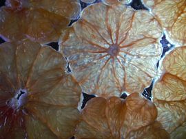 grapefruit van onder belicht en close-up,grapefruit viewed from underneath and close-upGrapefruit vo von Evelien Brouwer