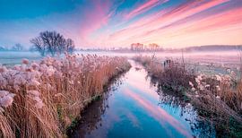 Winterlandschap met rivier
