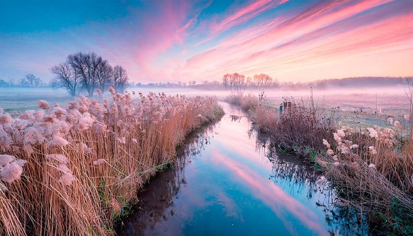 Winter landscape with river by Mustafa Kurnaz