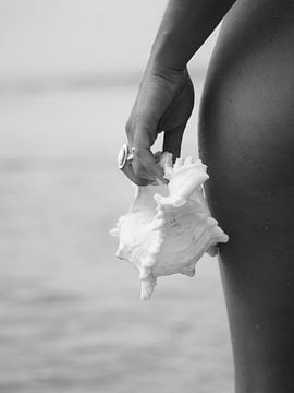 L'élégance au bord de la mer sur Sofieke Maria