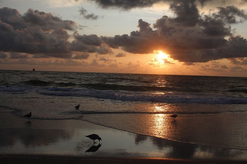 Sunset with seagulls near Westerland on Sylt by Martin Flechsig