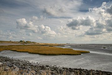 Die Schönheit von Zeeland