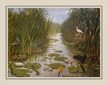 Schoolplate M.A. Koekkoek - "The Naardermeer" by Anita Meis
