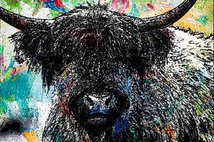 Schottische Highlander