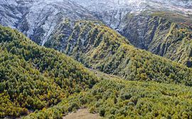 Green mountain landscape