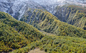 Green mountain landscape