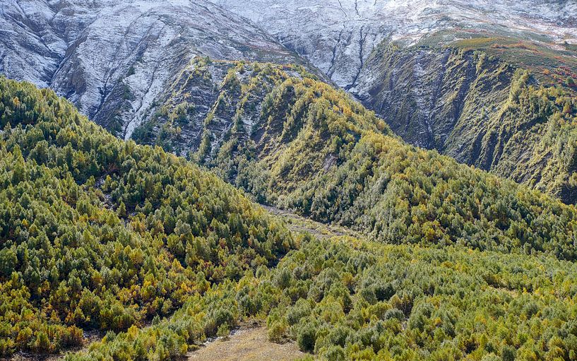 Green mountain landscape par Jeroen Kleiberg