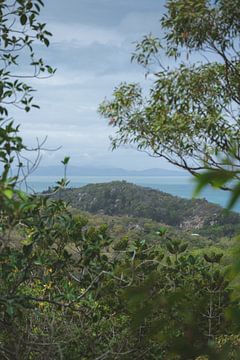 Magnetic Island: Eine tropische Oase in Queensland von Ken Tempelers