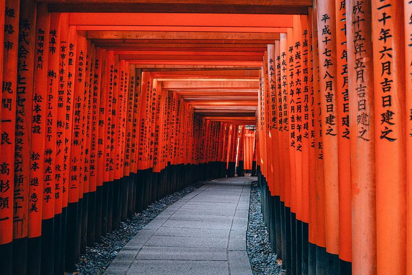 Inari by Mad Dog Art