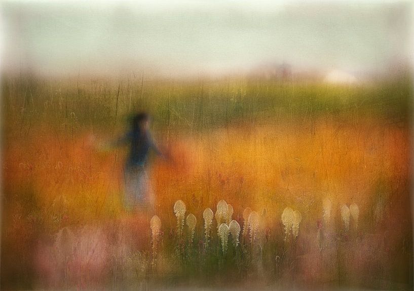 Une fille et l'herbe ours, Shenshen Dou par 1x