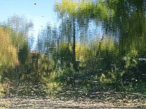 Urbane Reflektion - Sommer