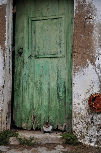 Door with a small cat by Sabrina Varao Carreiro