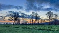 Ländliche Landschaft mit Feld, Bäumen und bunten Sonnenuntergang von Tony Vingerhoets Miniaturansicht