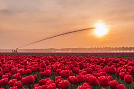 Éteindre le soleil sur Karin Riethoven