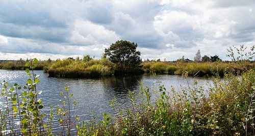 Waterpartij in De Grote Peel